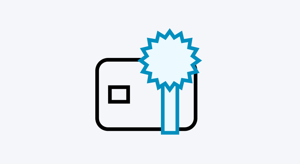 Icon Kreditkarte global