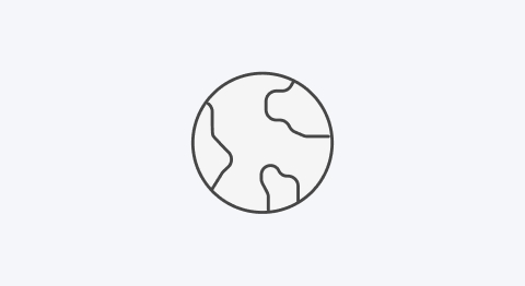 Icon Weltkugel
