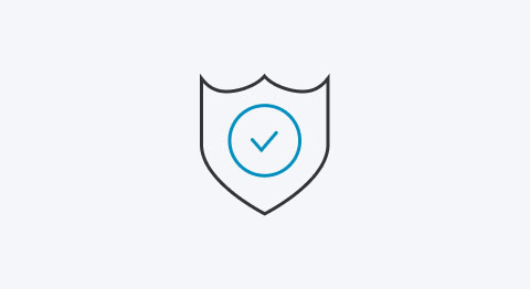 Icon Schutzschild mit blauem Haken darauf
