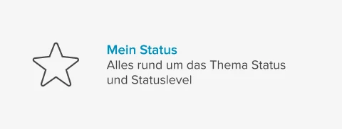 Icon Stern für Statusstufe auf hellgrauem Hintergrund