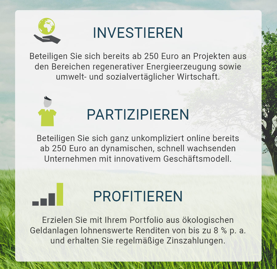 Übersicht Econeers