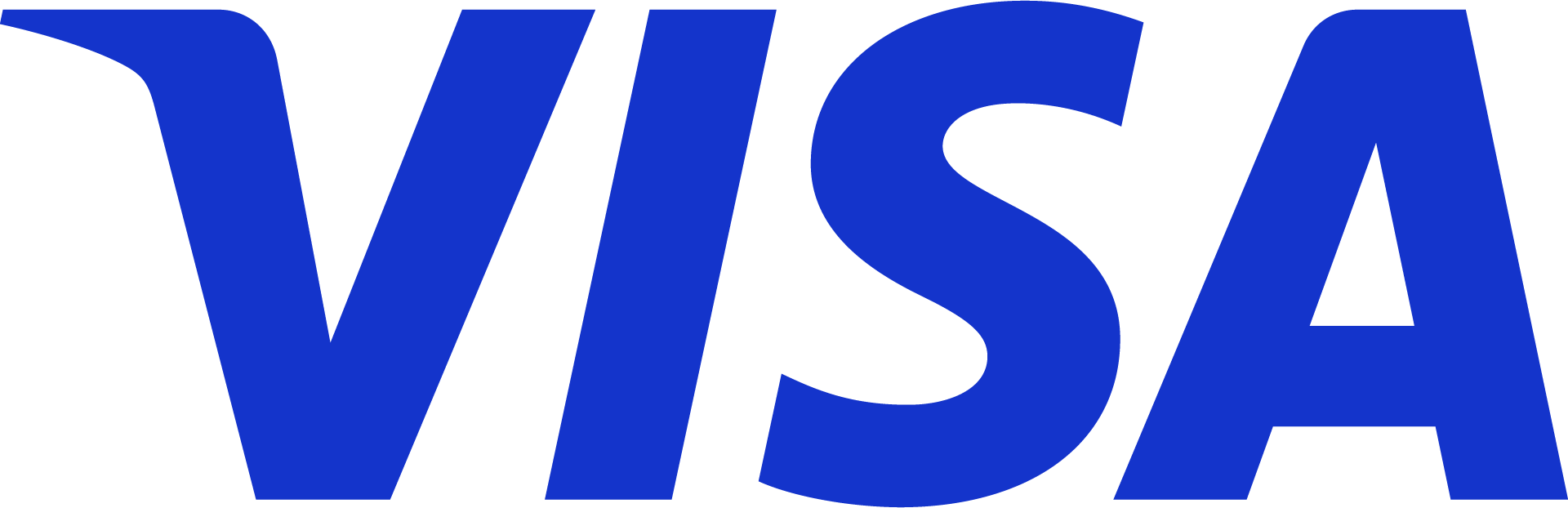 Blaues Visa Logo